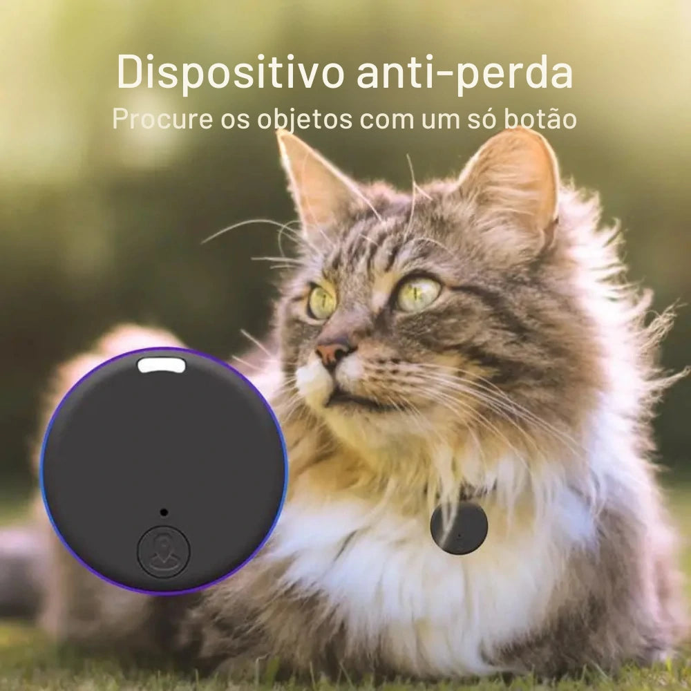 Gato com colar e localizador GPS Bluetooth anti-perda